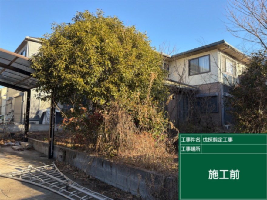 庭園伐採、剪定工事 施工前