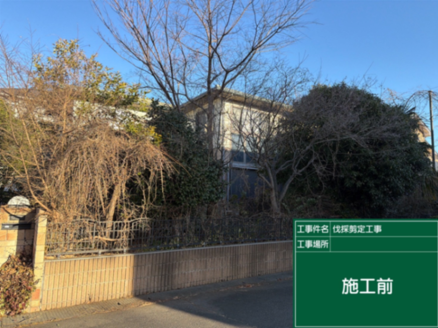 庭園伐採、剪定工事 施工前