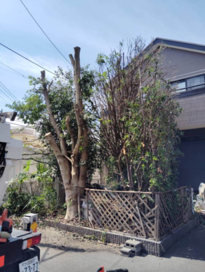 さいたま市剪定工事