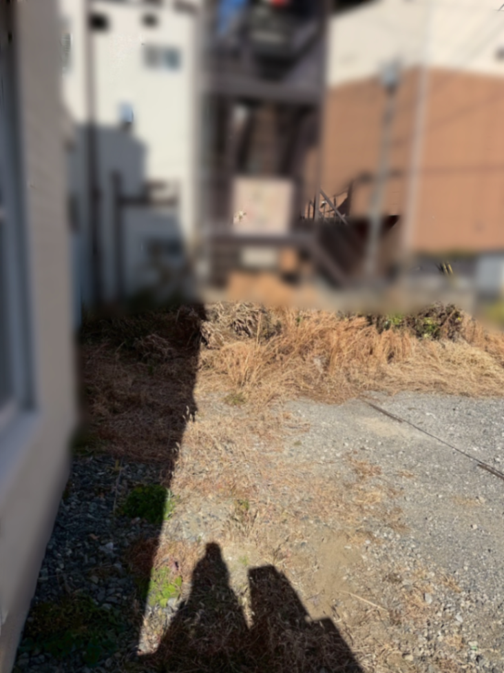 庭園伐採、除草工事 施工前