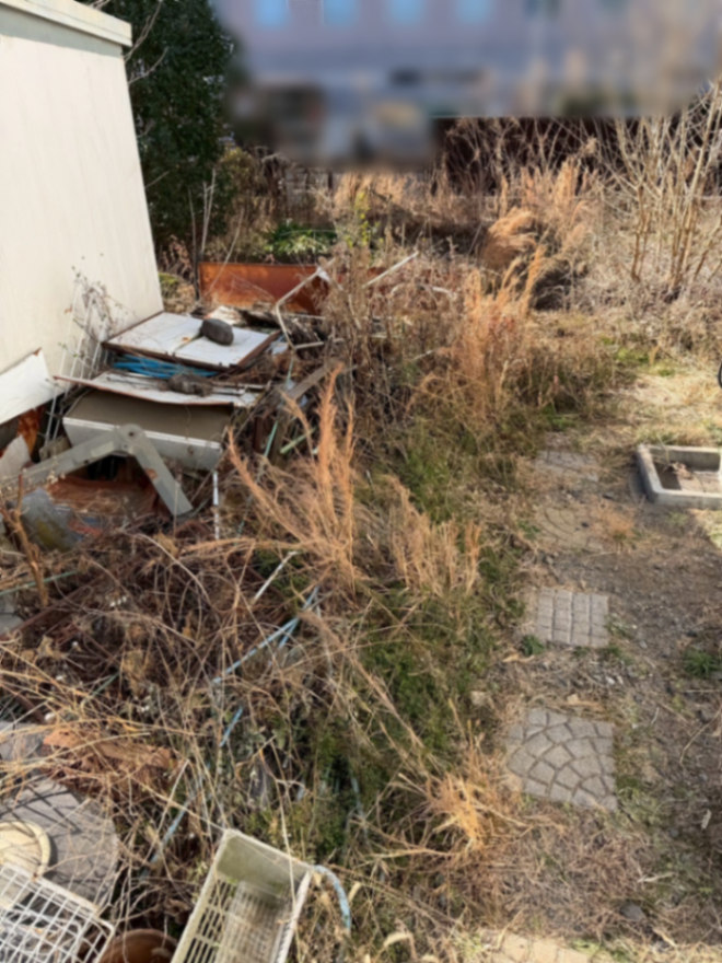 庭園伐採、除草工事 施工前