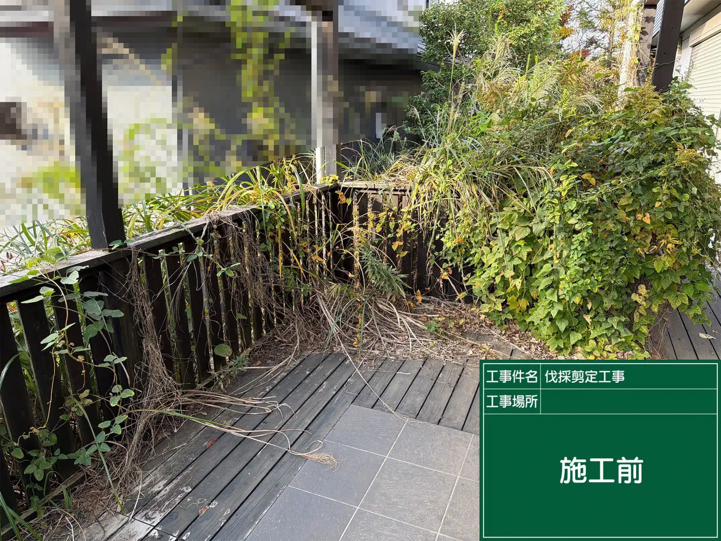 伐採砂利敷設工事 施工前