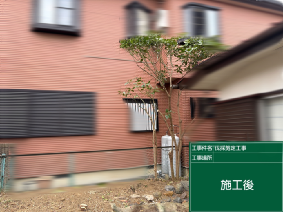 庭園伐採、剪定工事 施工後