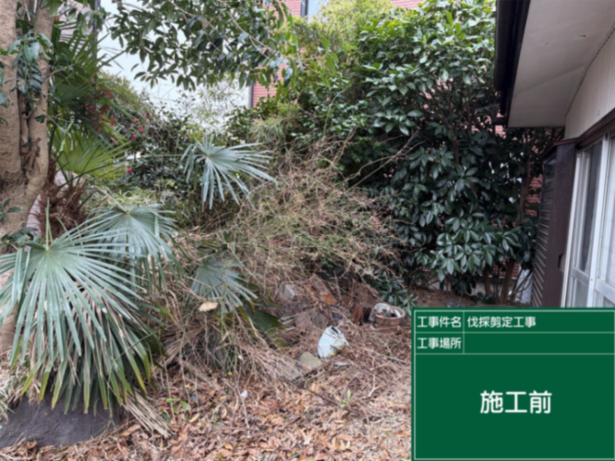 庭園伐採、剪定工事 施工前