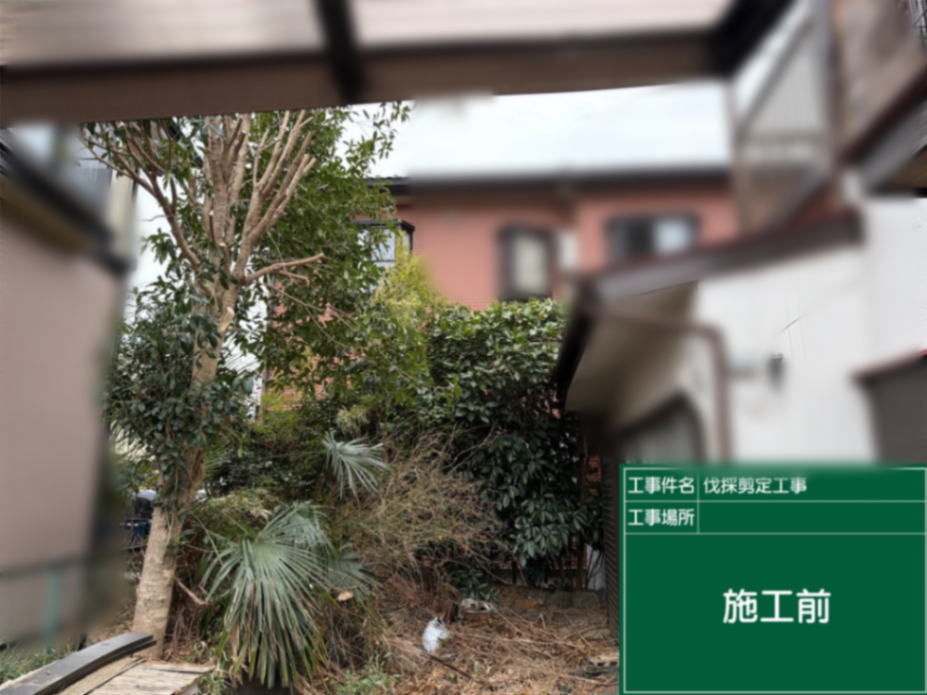 庭園伐採、剪定工事 施工前
