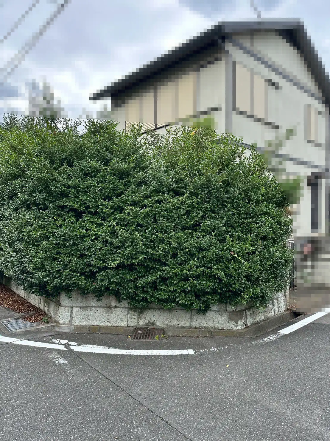 外構・フェンス工事 施工前