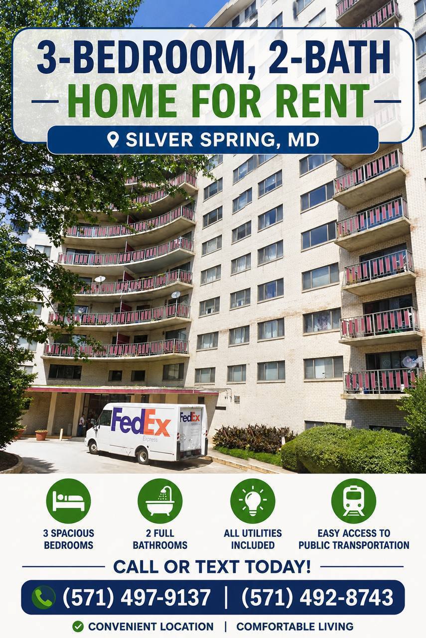 Apartment for rent 