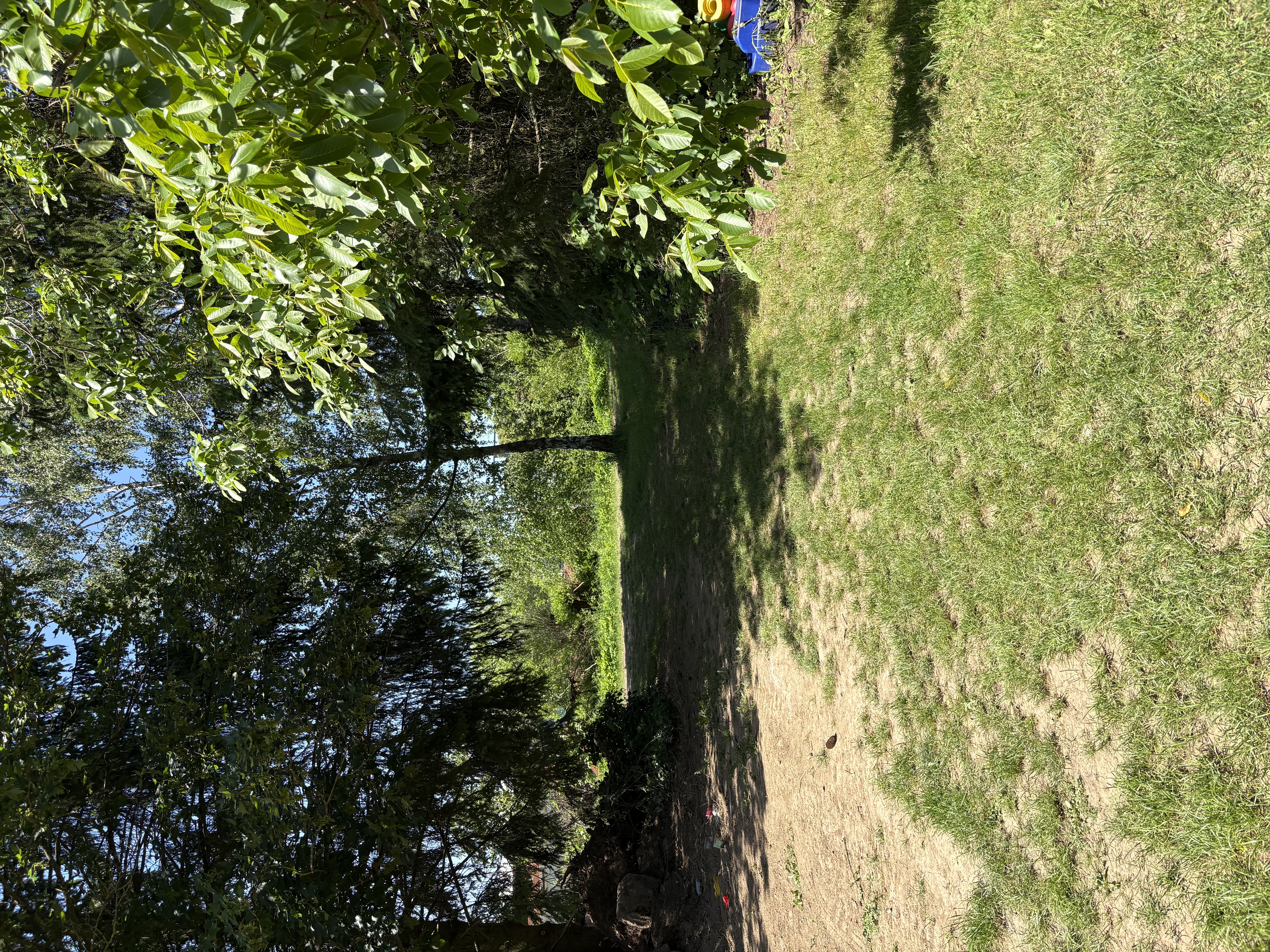 Zwillinge Hauptbild