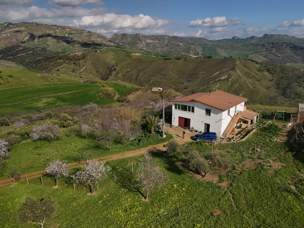 Arche Siziliana Galerie 3