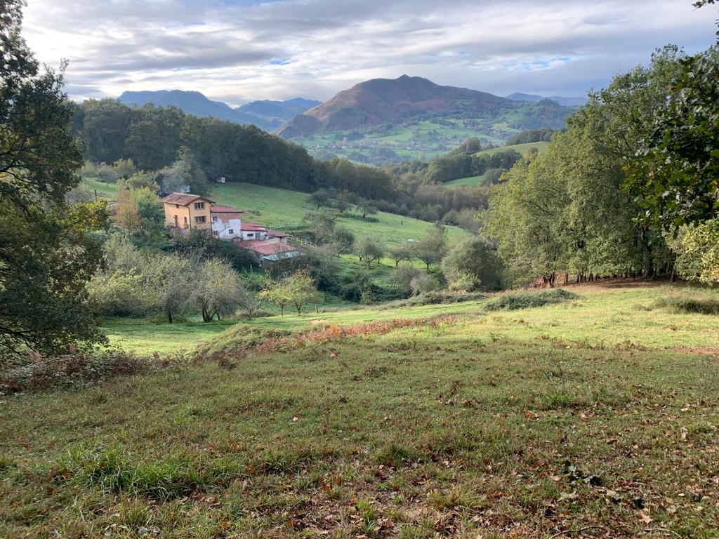 El Paraiso Hauptbild