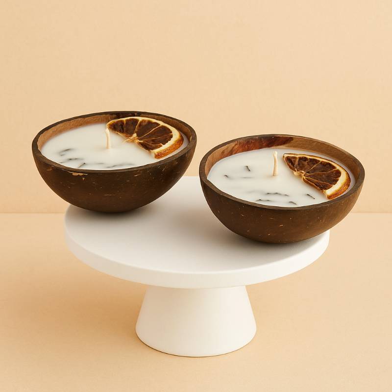 Coconut shell candle