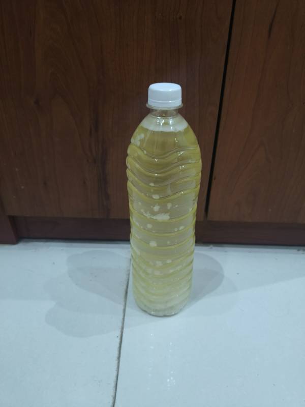 Wooden pressed coconut oil
