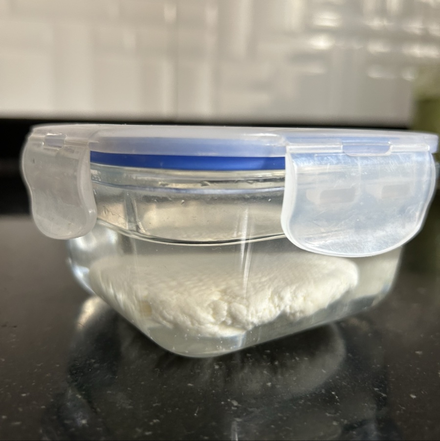 Homemade Fresh Paneer