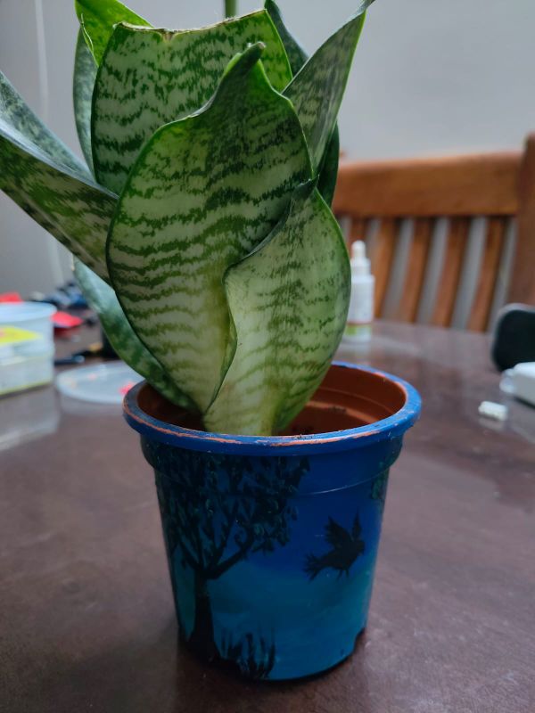 Collaborative passion of art and gardening