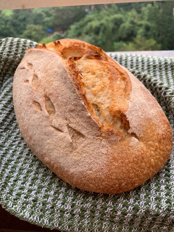 The Bake Canvas — Home Baker in Electronic City