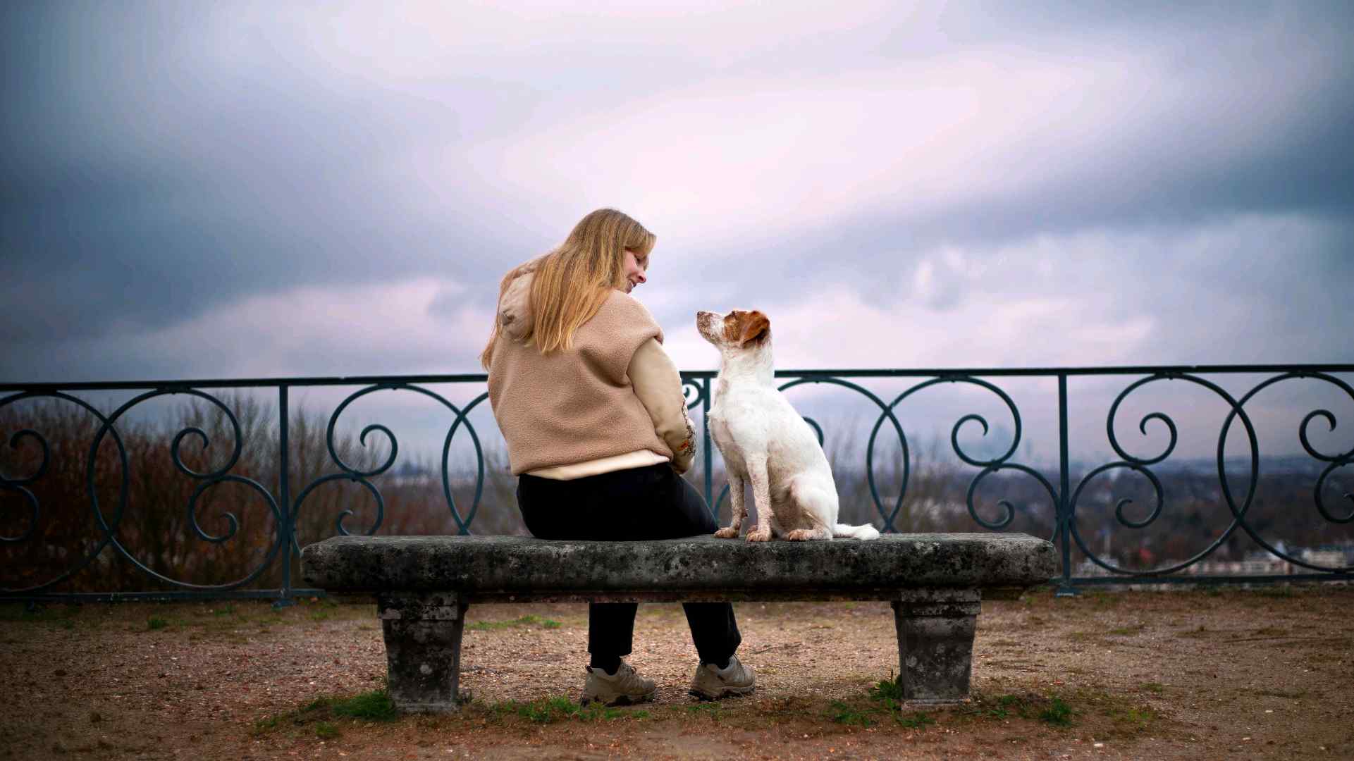 Image de JUCIE éducation canine 