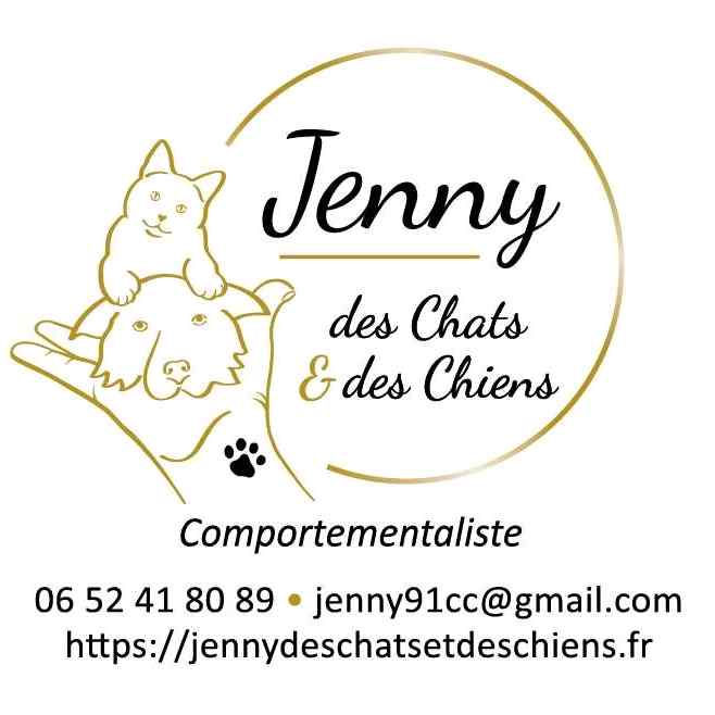 Comportementaliste chat