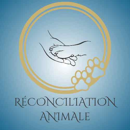 Comportementaliste, Éducateur / Comportementaliste, Pet-Sitter, Promeneur