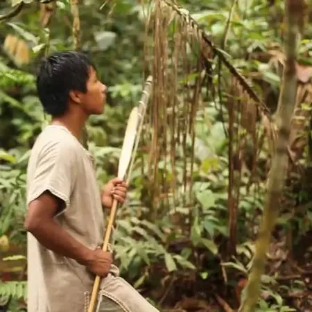 Red spiky fruits or flowers, likely achiote seeds
