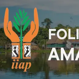 Red spiky fruits or flowers, likely achiote seeds