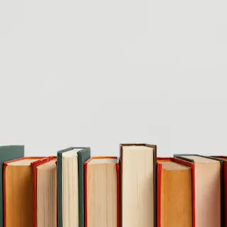 Red spiky fruits or flowers, likely achiote seeds