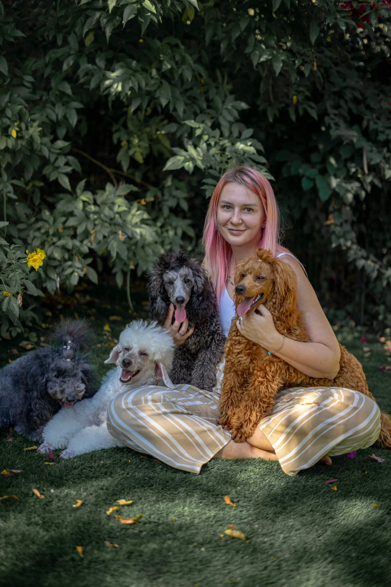 Mystic Estate family with their poodles