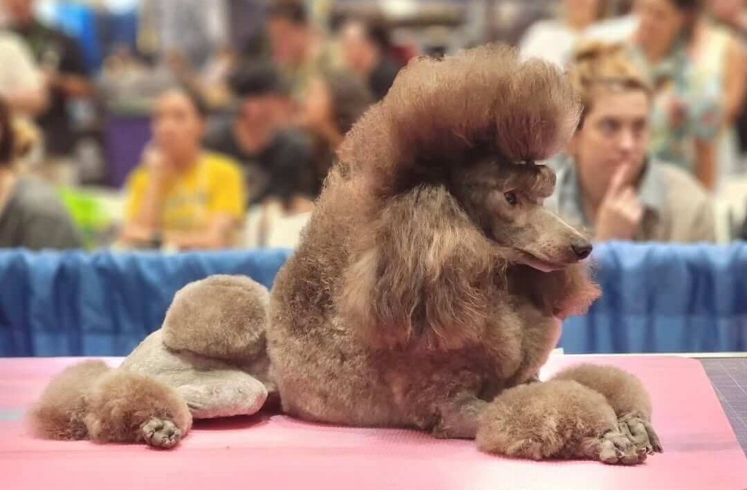 Mystic Estate day-in-life featured photo