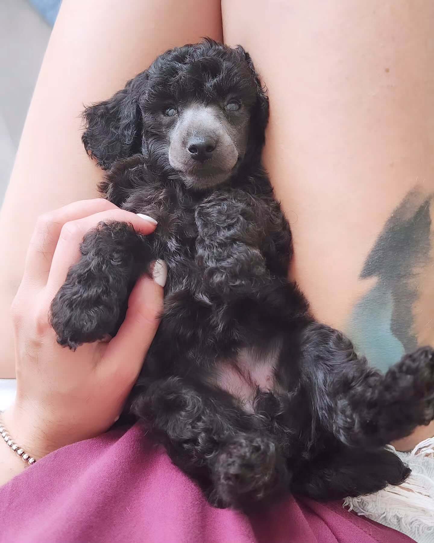 Mystic Estate day-in-life thumbnail 2