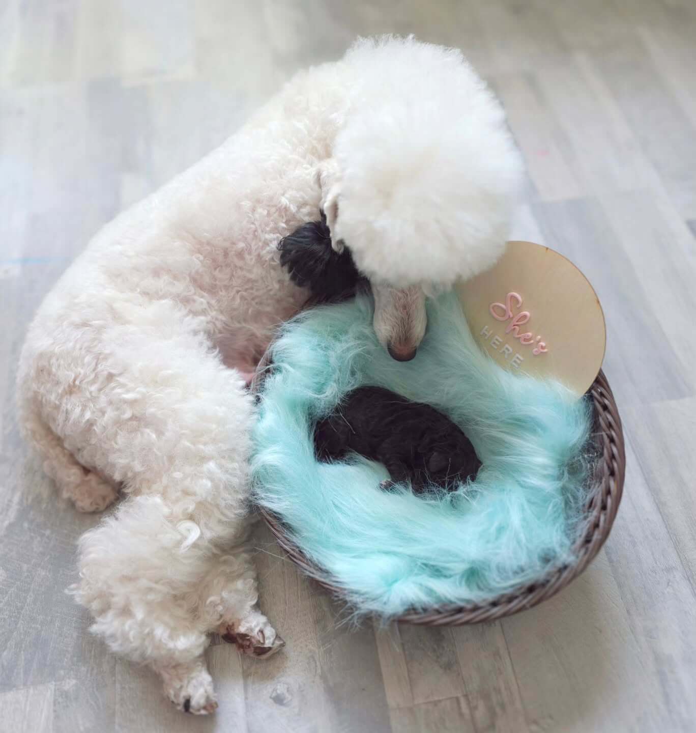 Mystic Estate day-in-life thumbnail 4