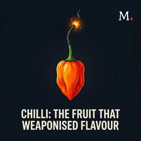Chilli: The Fruit That Weaponised Flavour audio documentary cover