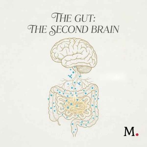 The Gut: The Second Brain audio documentary cover