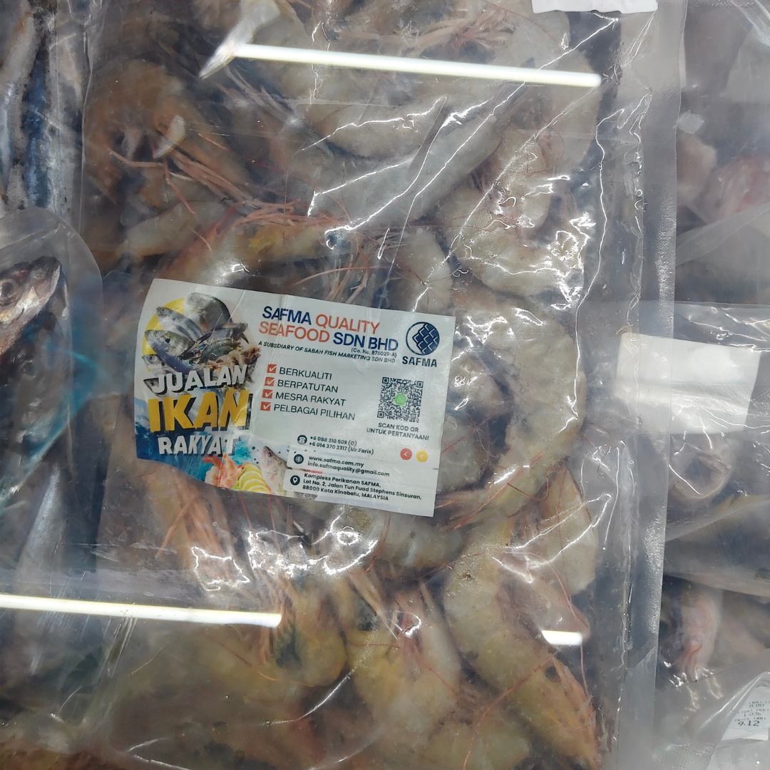 Udang