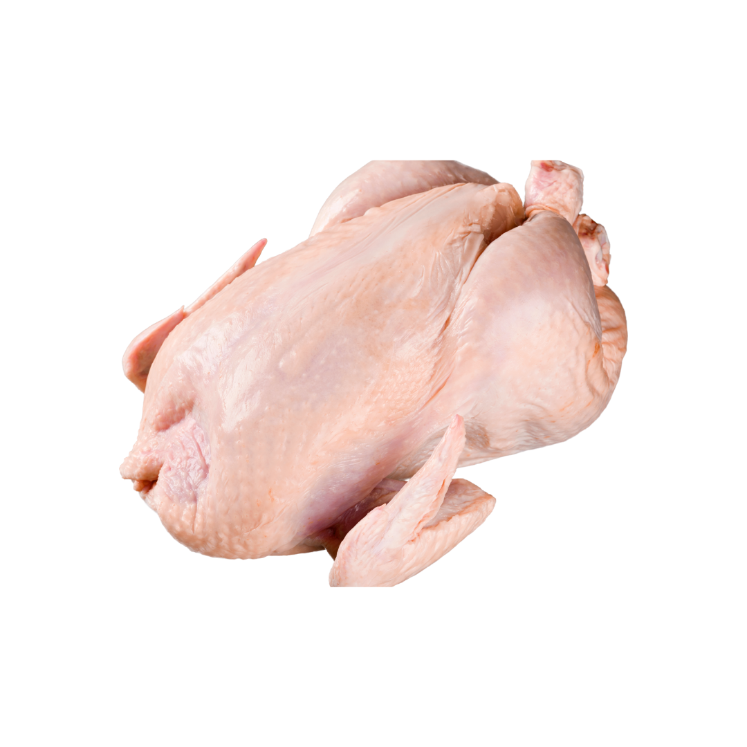 Ayam Bulat