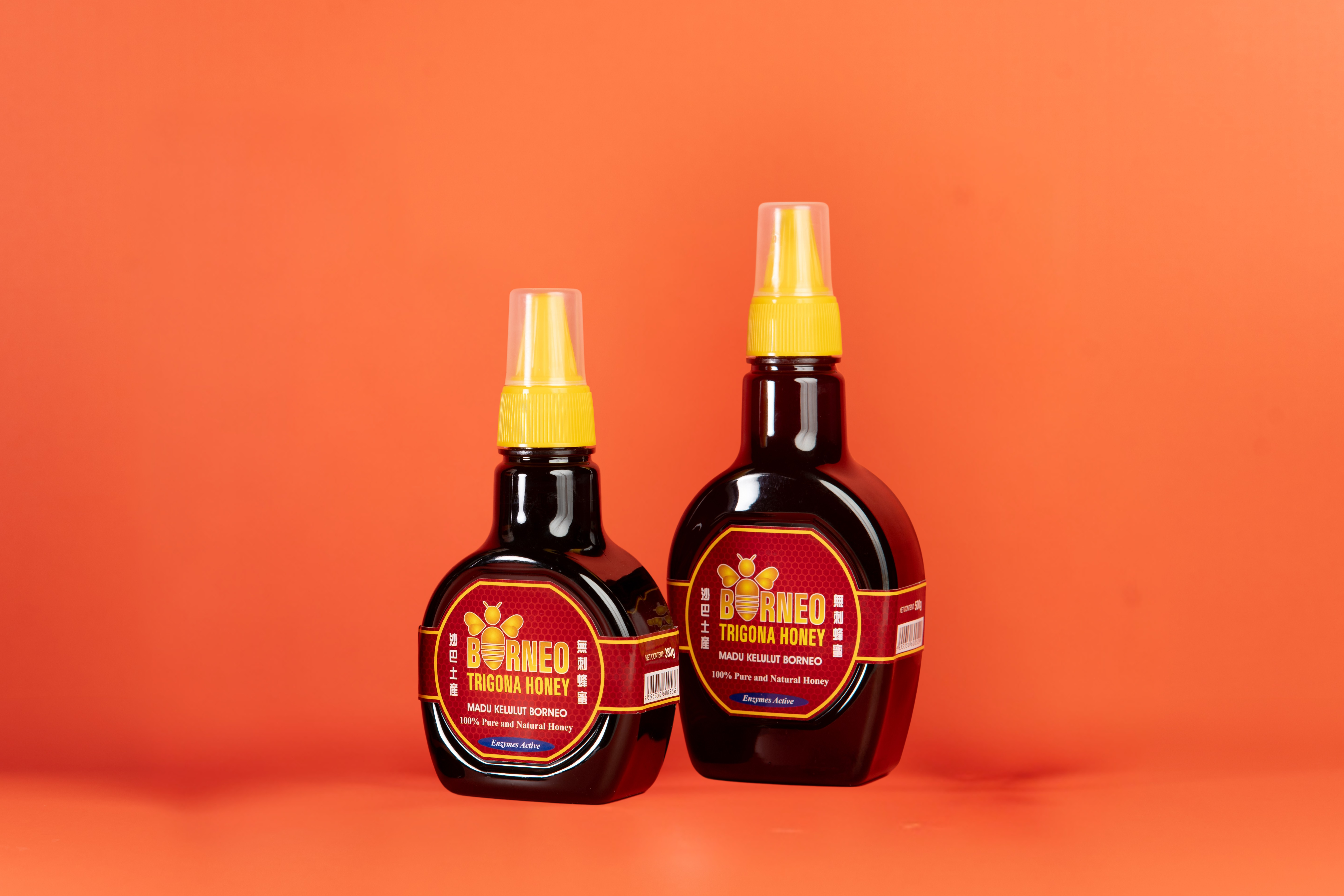 Borneo Trigona Honey ( M )
