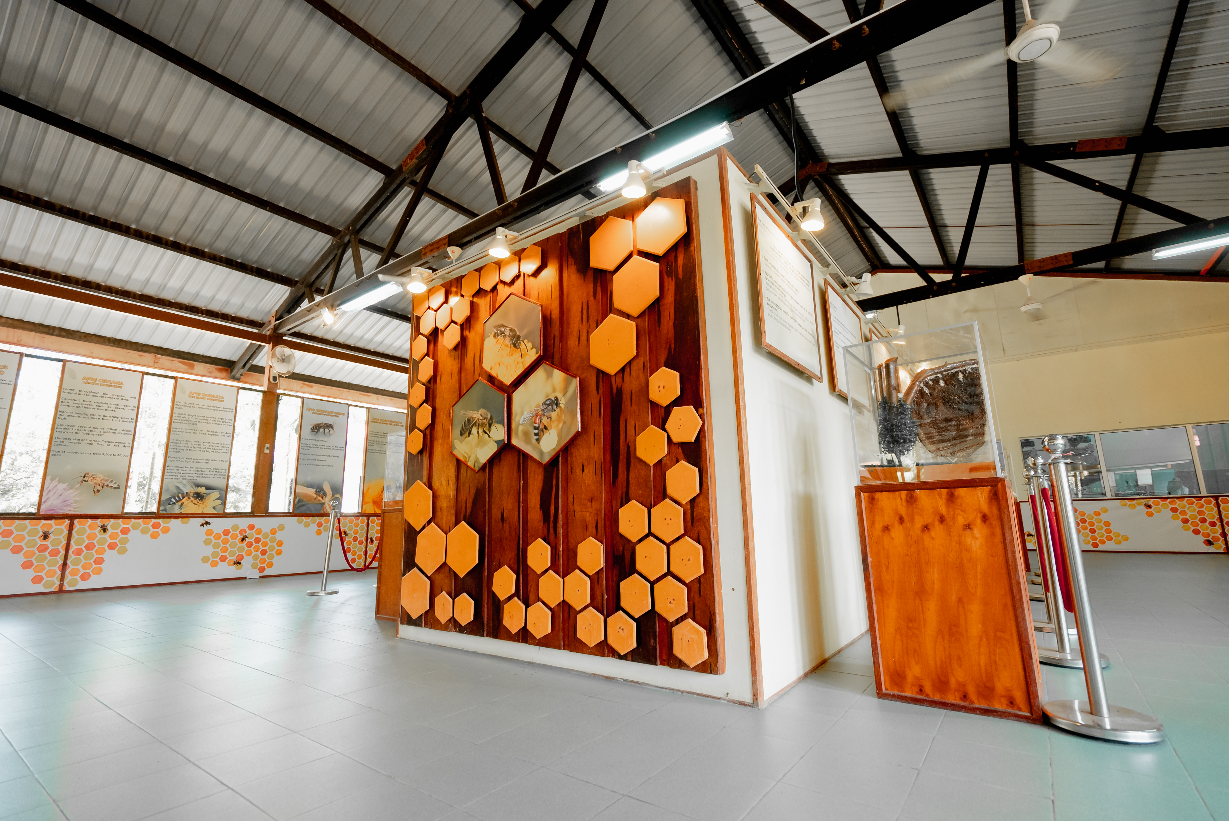 Borneo Honeybee Centre