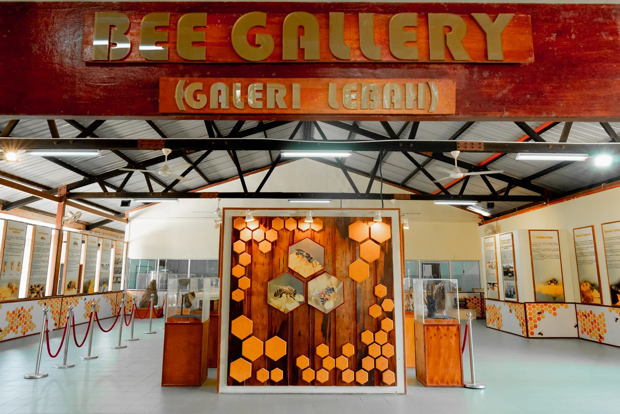 Our space