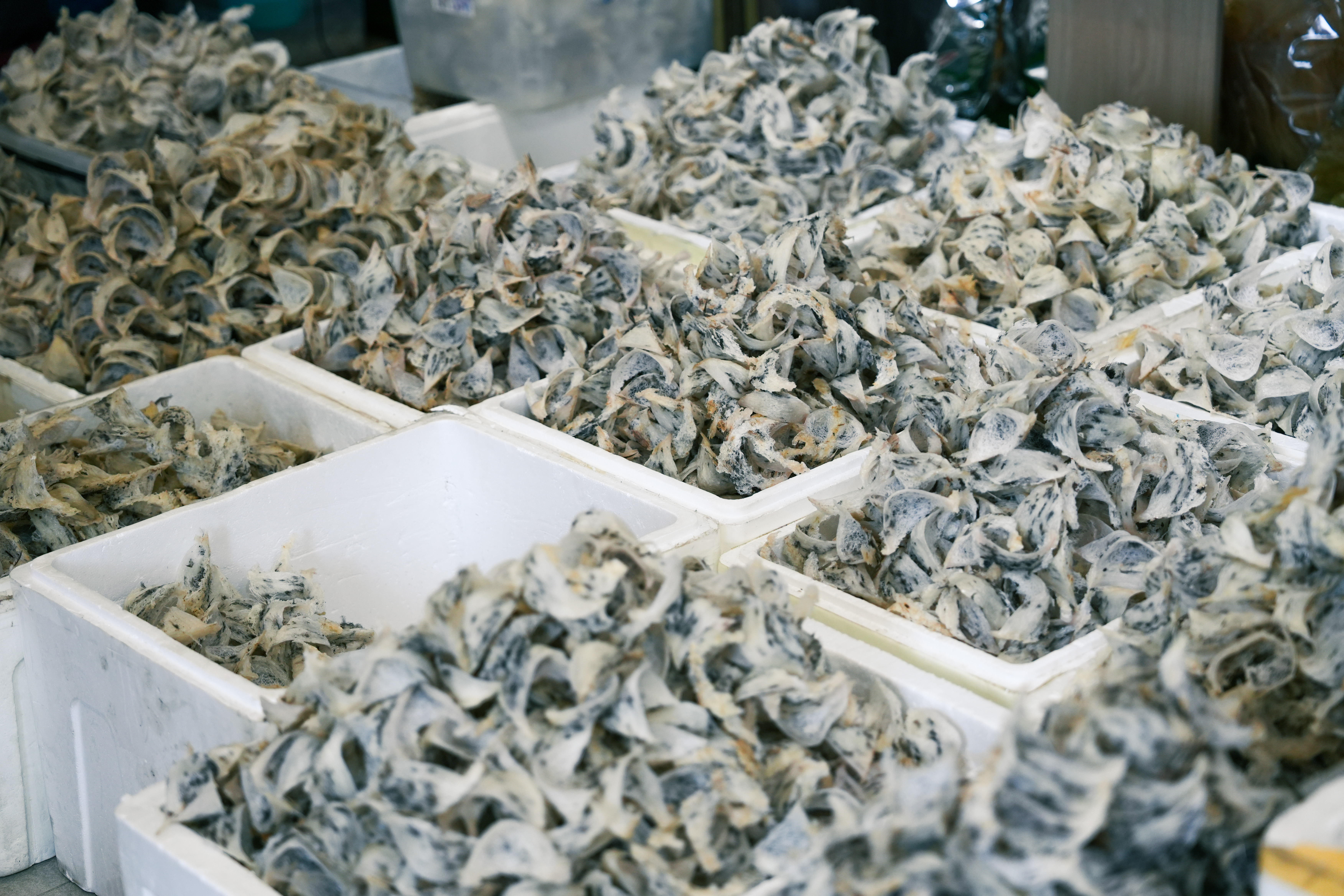 Raw Un - Clean Bird Nest