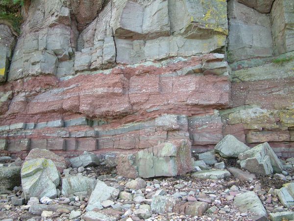 Fossil Hunting at Portishead Beach