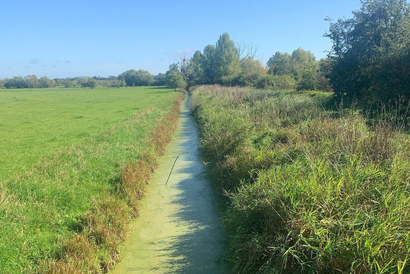 Coombe Hill Nature Reserve | Cheltenham Rocks