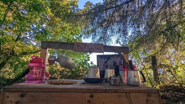 Outdoor Parent and Toddler Sessions