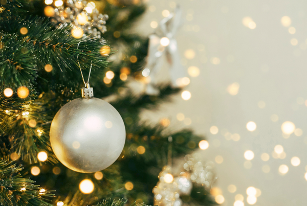 Christmas at Sixways