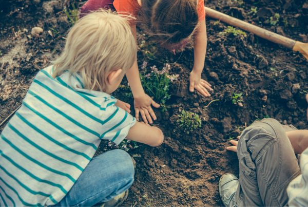 Little Seedlings Workshop | Rugby