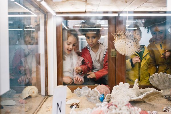 The Lapworth Museum of Geology | Birmingham