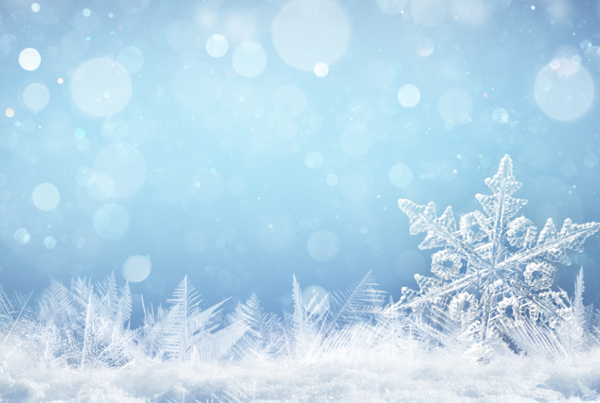 Coffee Tots Christmas Appeal 