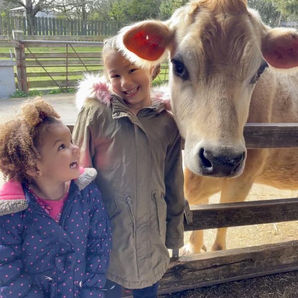 Ash End House Children's Farm | Farm Parties