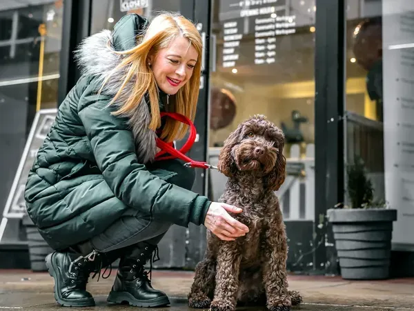 The Snooty Pooch Canine Café | Solihull