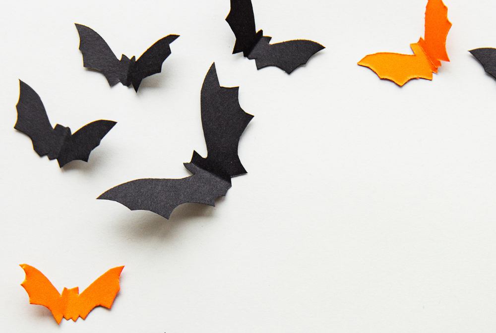 Make Your Own Spooky Bat Farnham Rocks