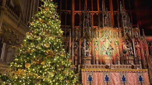 Cathedral Christmas Experience at Night 