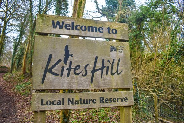 Kites Hill Nature Reserve