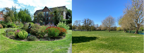 Portswood Rec